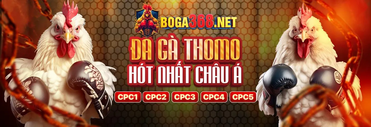 Hình ảnh thể hiện chính sách cá cược có trách nhiệm của GA65